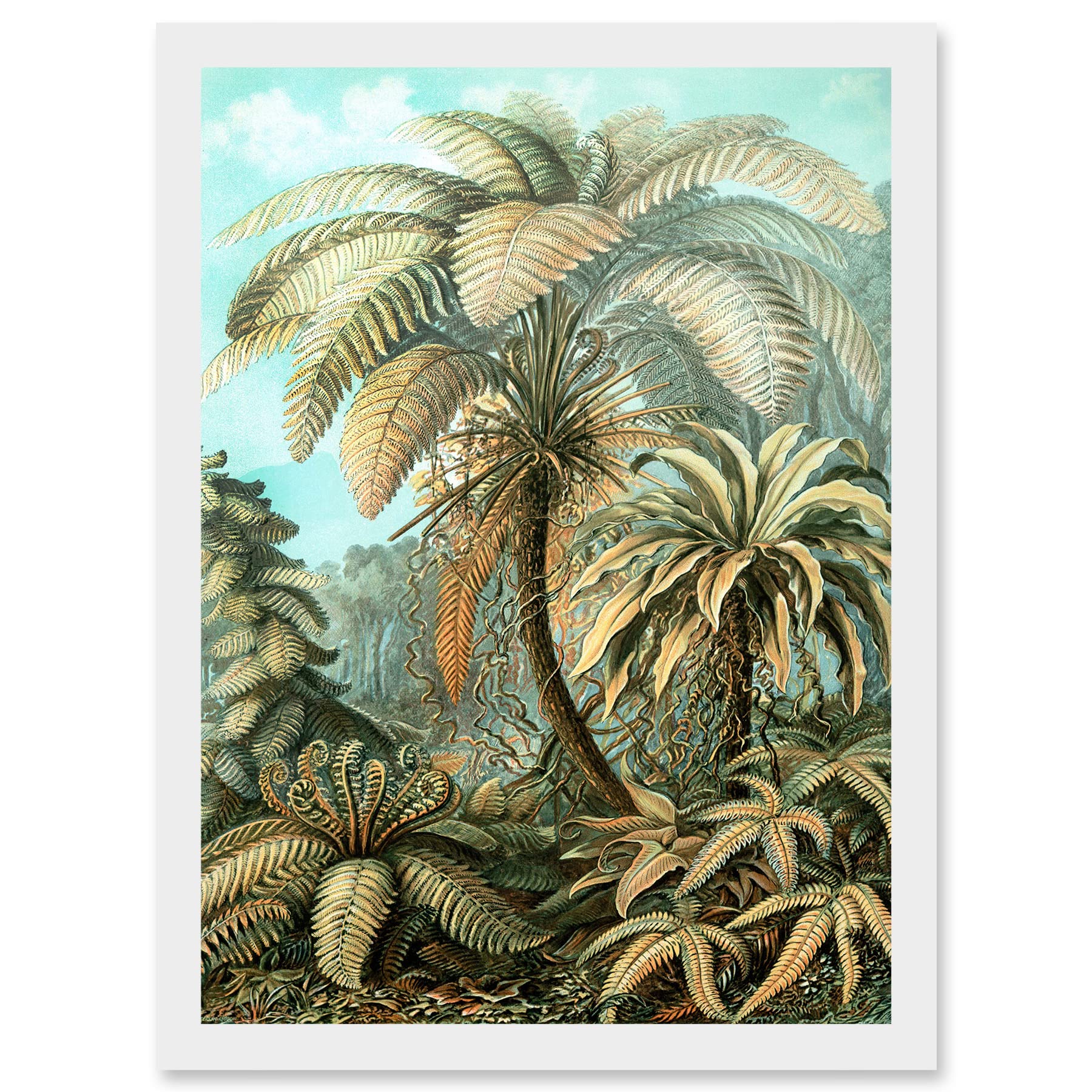 Wee Blue Coo Nature Biology Ferns Ernst Haeckel botanical Vintage Artwork Framed Wall Art Print A4