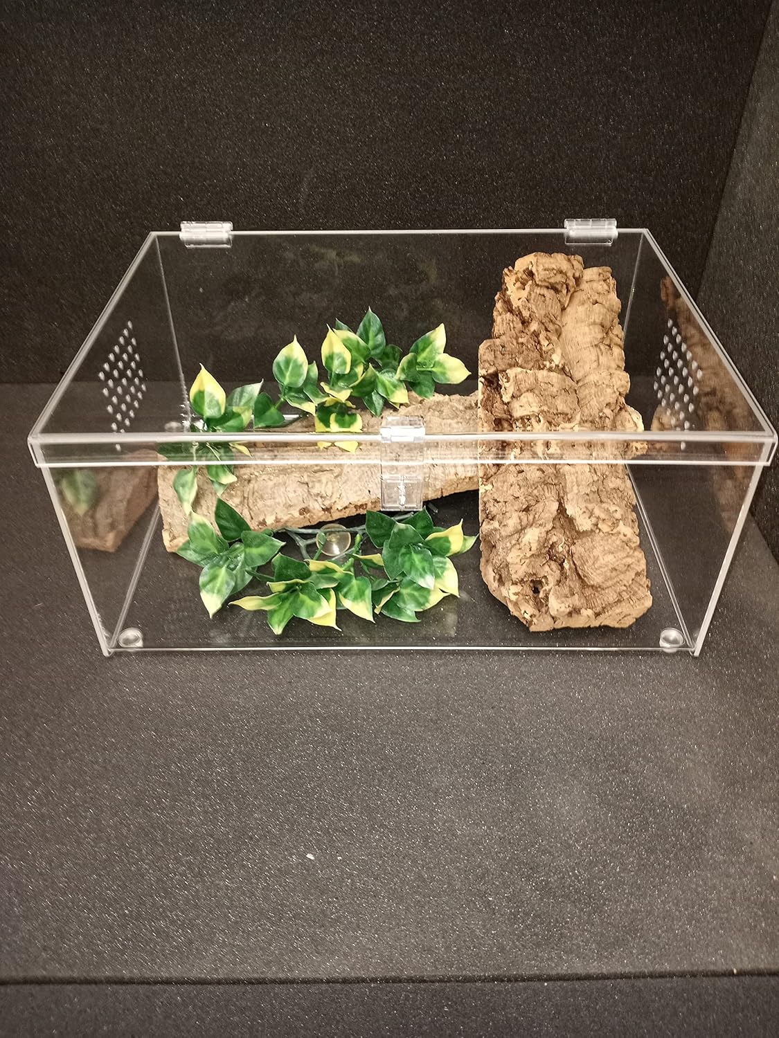 Reptile Enclosure, Tarantula Cage, 6 Gallon Size, Gecko, Terrarium