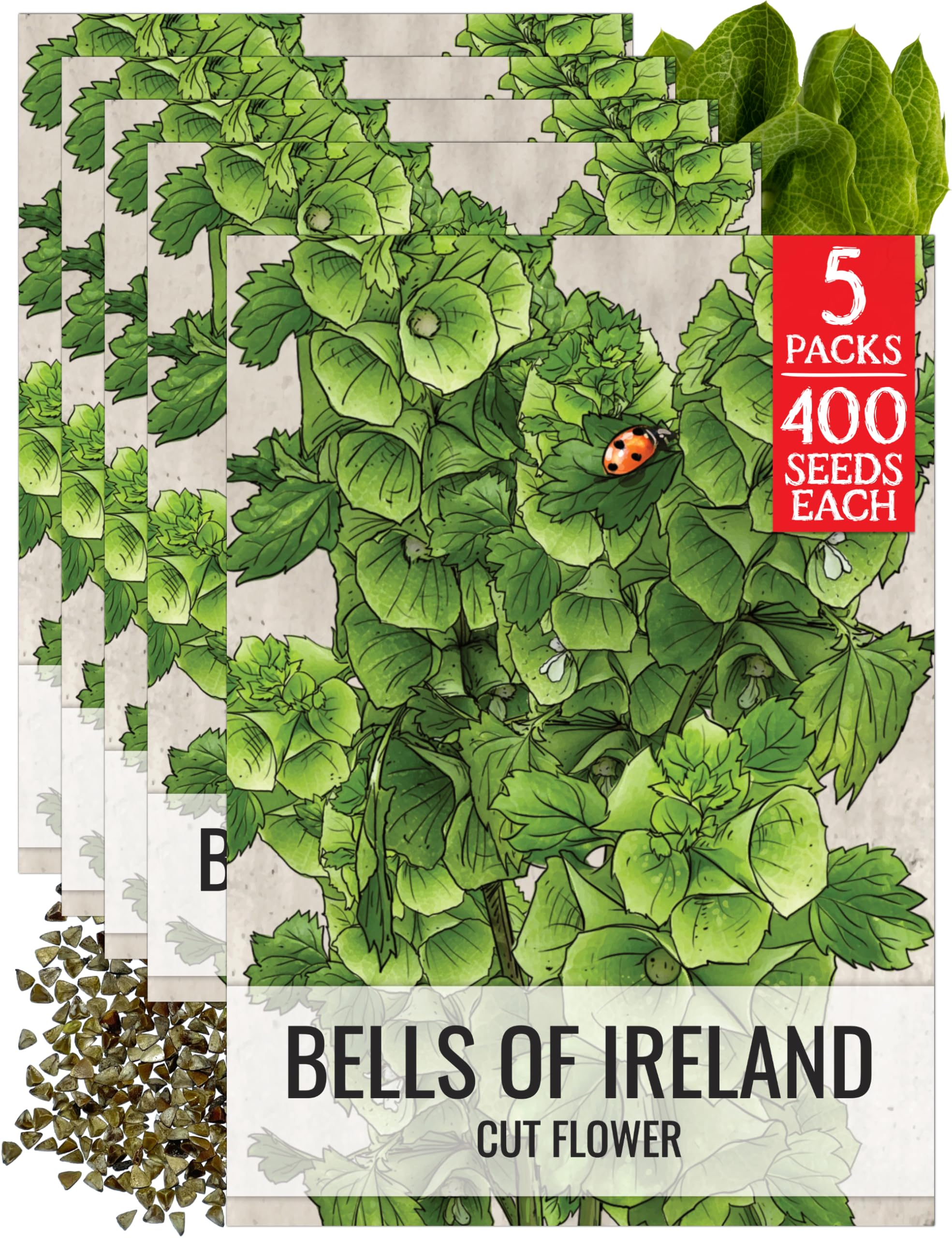Seed Needs Bells of Ireland Seeds