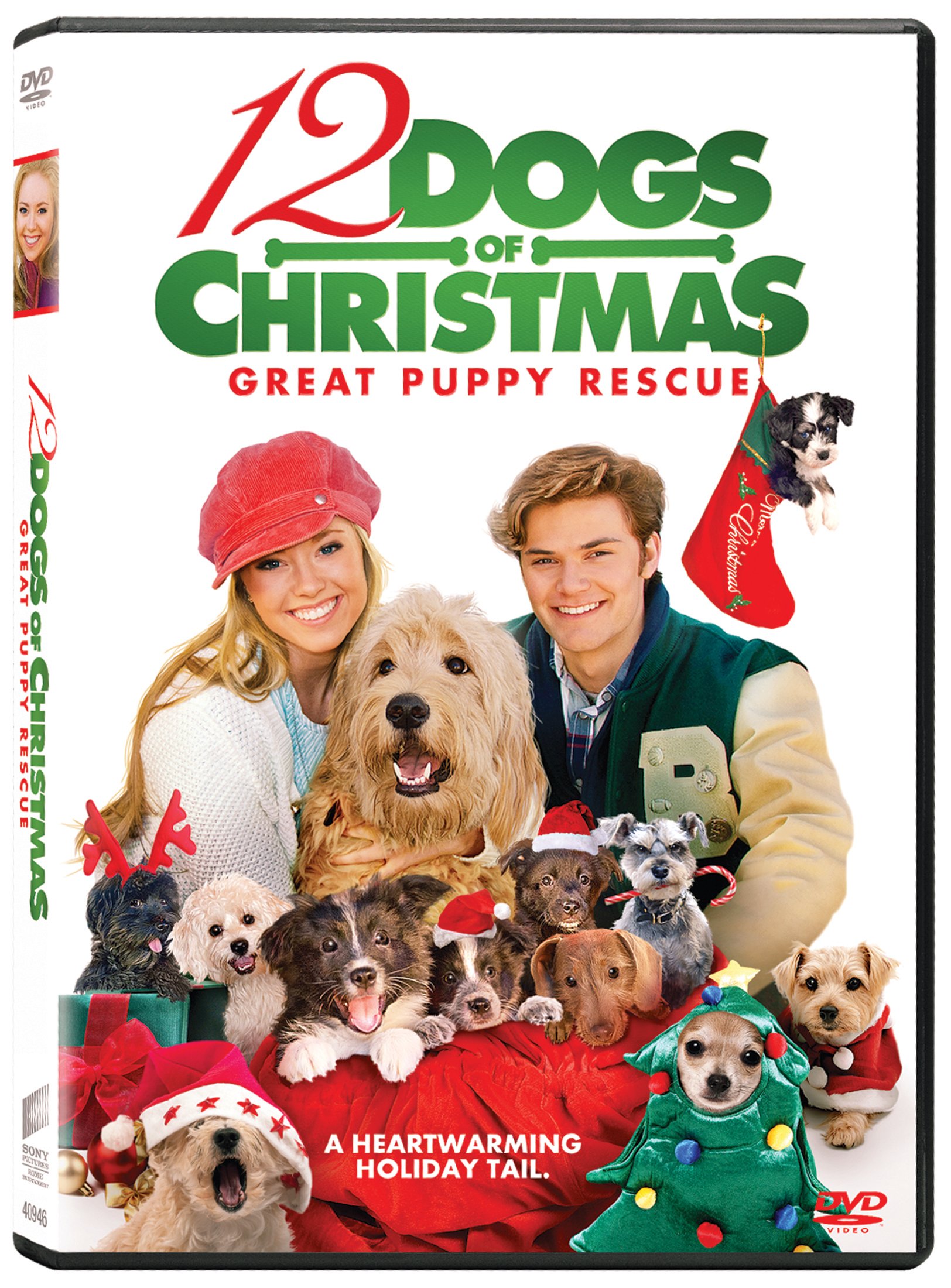 12 Dogs of Christmas: Great Puppy Rescue (Sous-titres français
