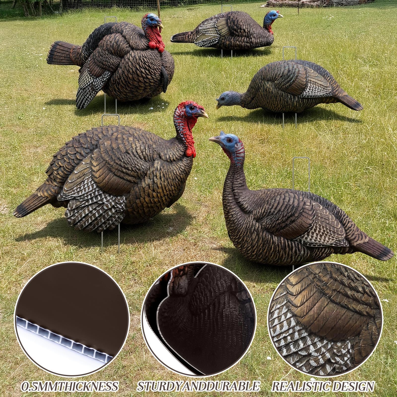 Amazon.com: Novabright 5 Pcs 2D Turkey Decoys Hunting Yard Sign