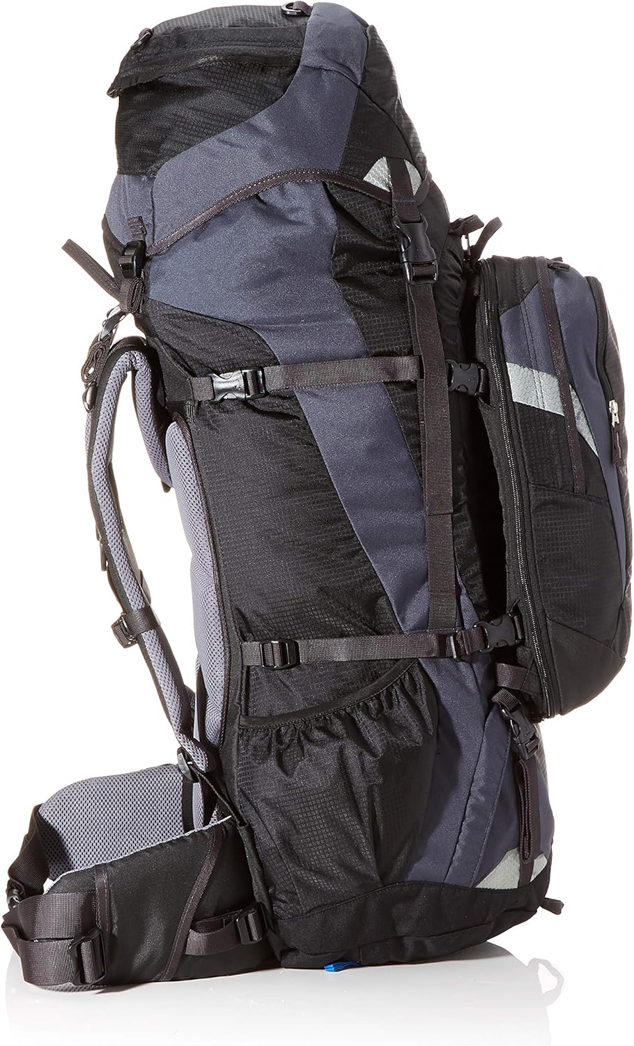 deuter quantum femme