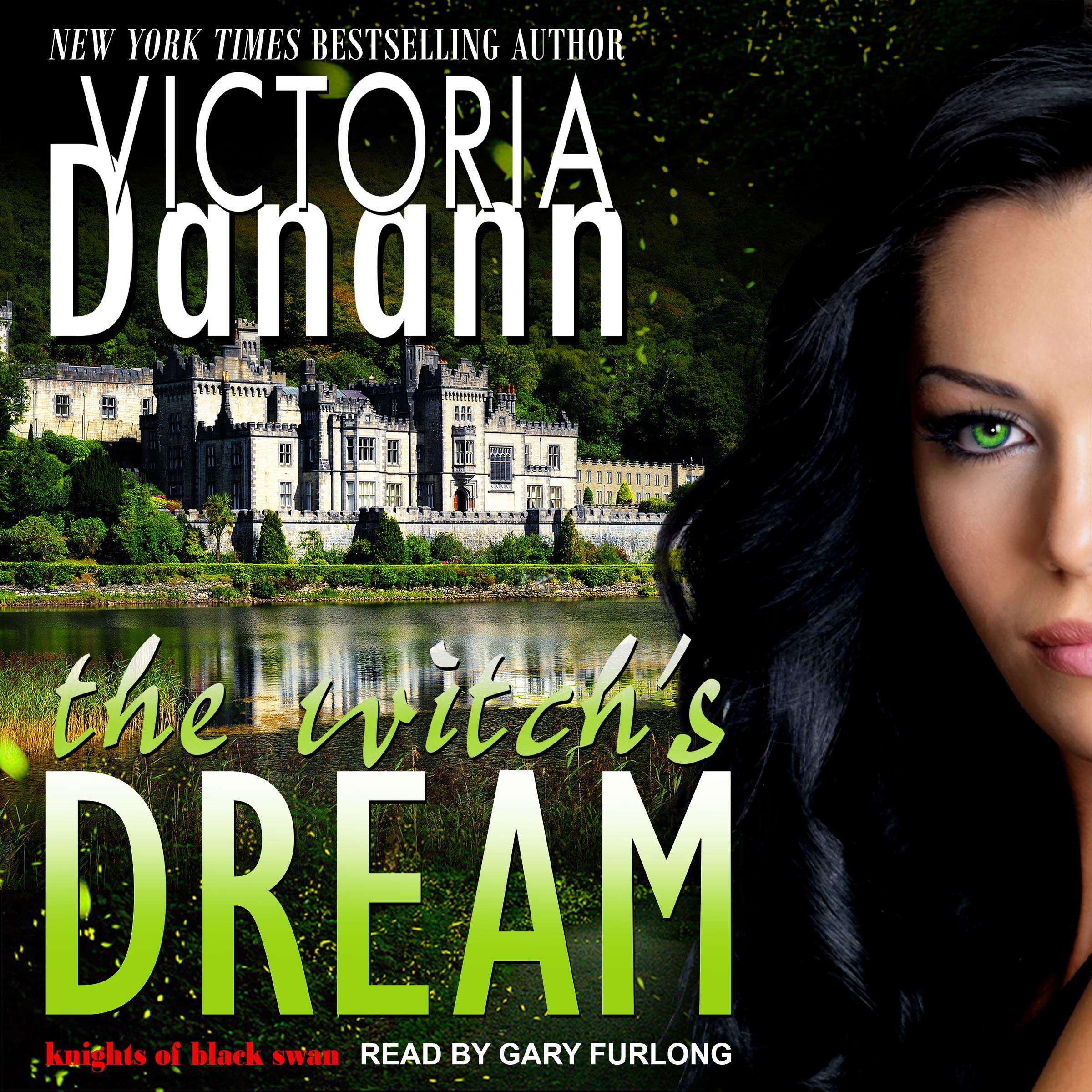 Cover art for The Witch's Dream