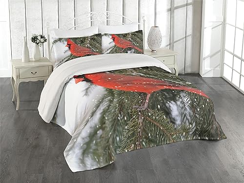 Lunarable Colcha cardenal, pájaro cardenal del norte de pie en una rama de pino en temporada de invierno, juego de colcha acolchada decorativa de 3