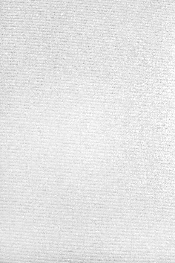 Netuno 20 hojas de cartulina verjurada color blanco A4 210x297 mm 220g Aster Laid White papel de calidad con textura para invitaciones portadas certificados documentos creativos