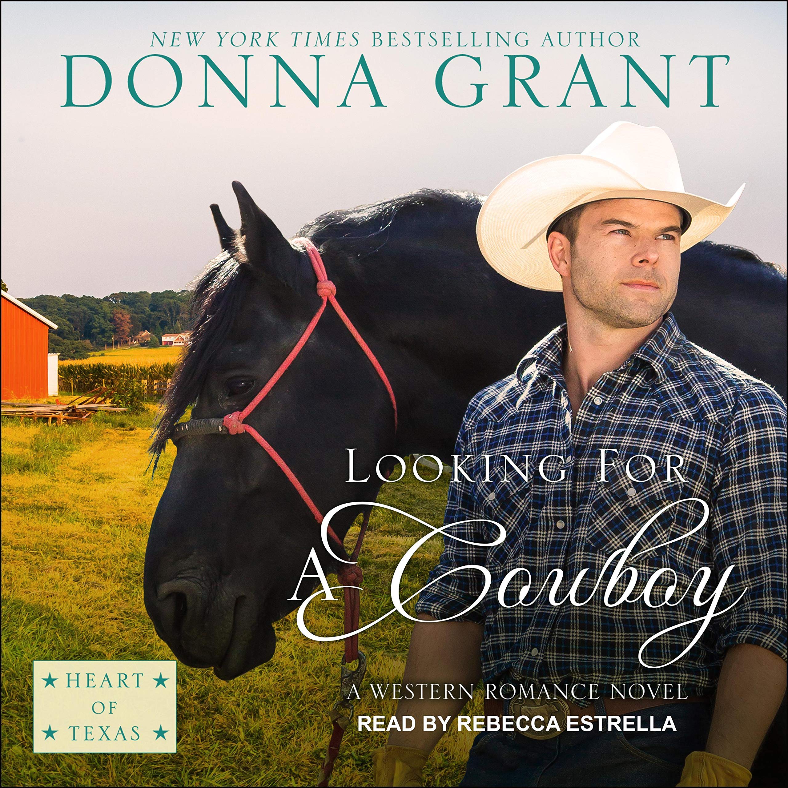 Cover art for Looking for a Cowboy