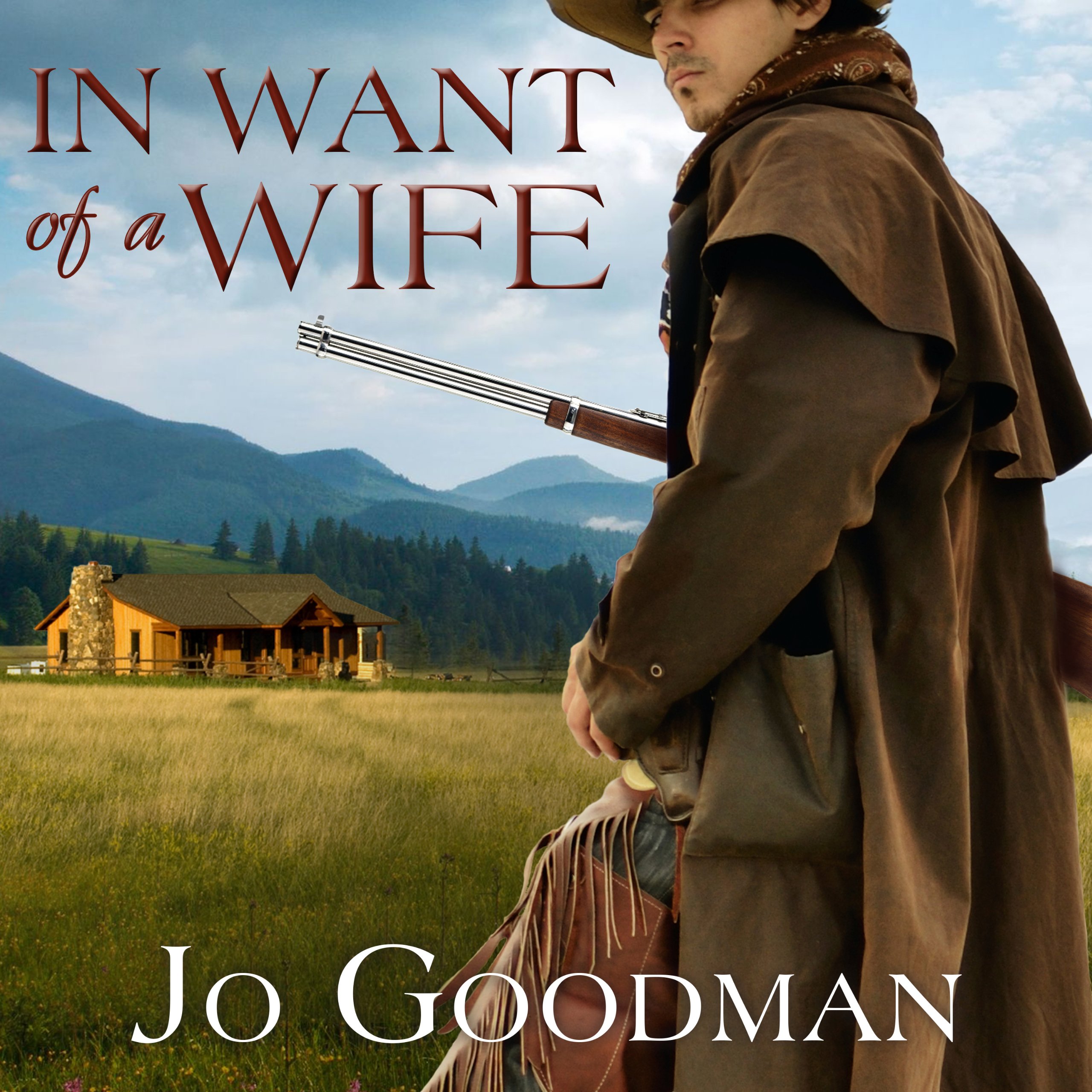 Cover art for In Want of a Wife