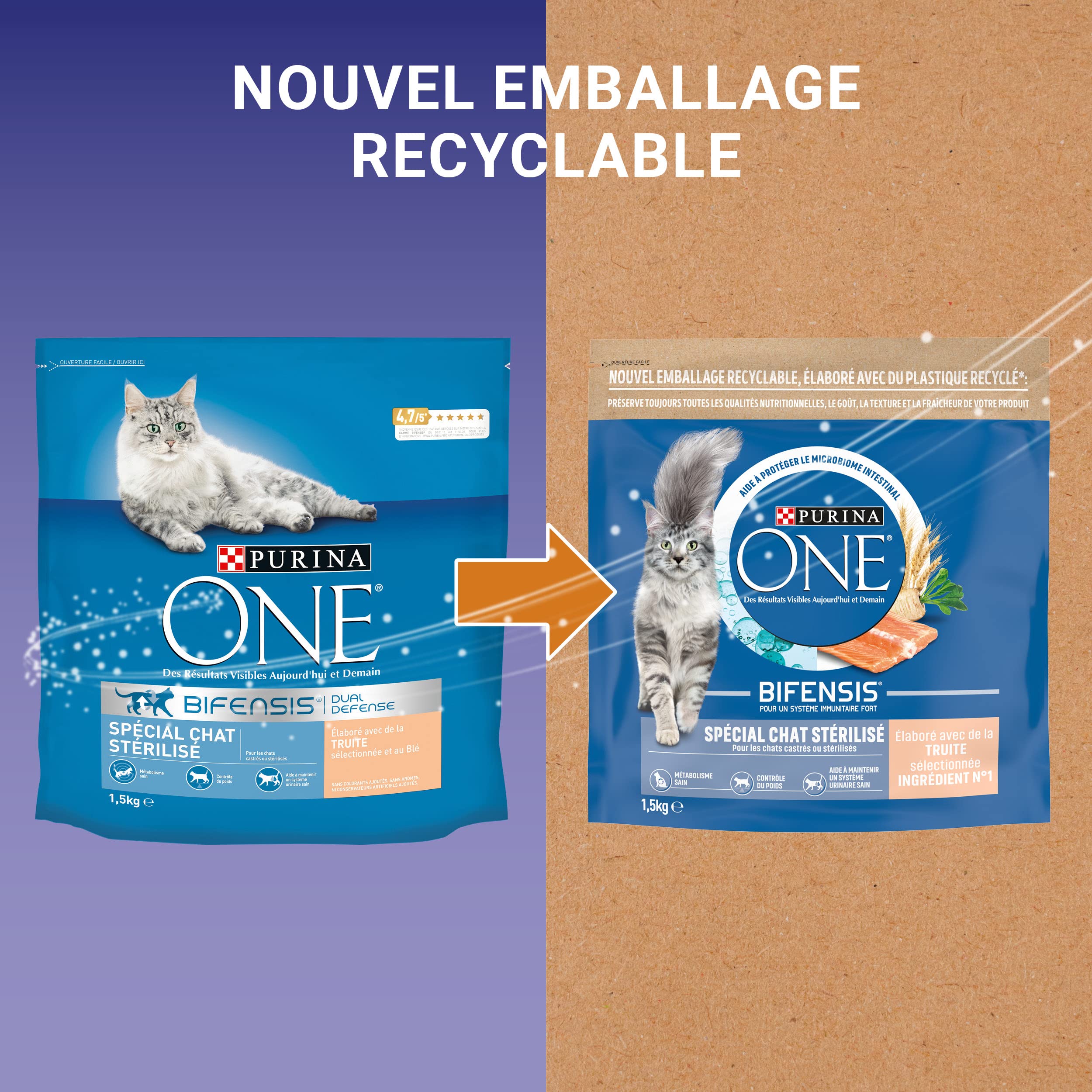 PURINA ONE Bifensis - Gatto sterilizzato, crocchette alla trota per gatti adulti, confezione da 1,5 kg, confezione da 6