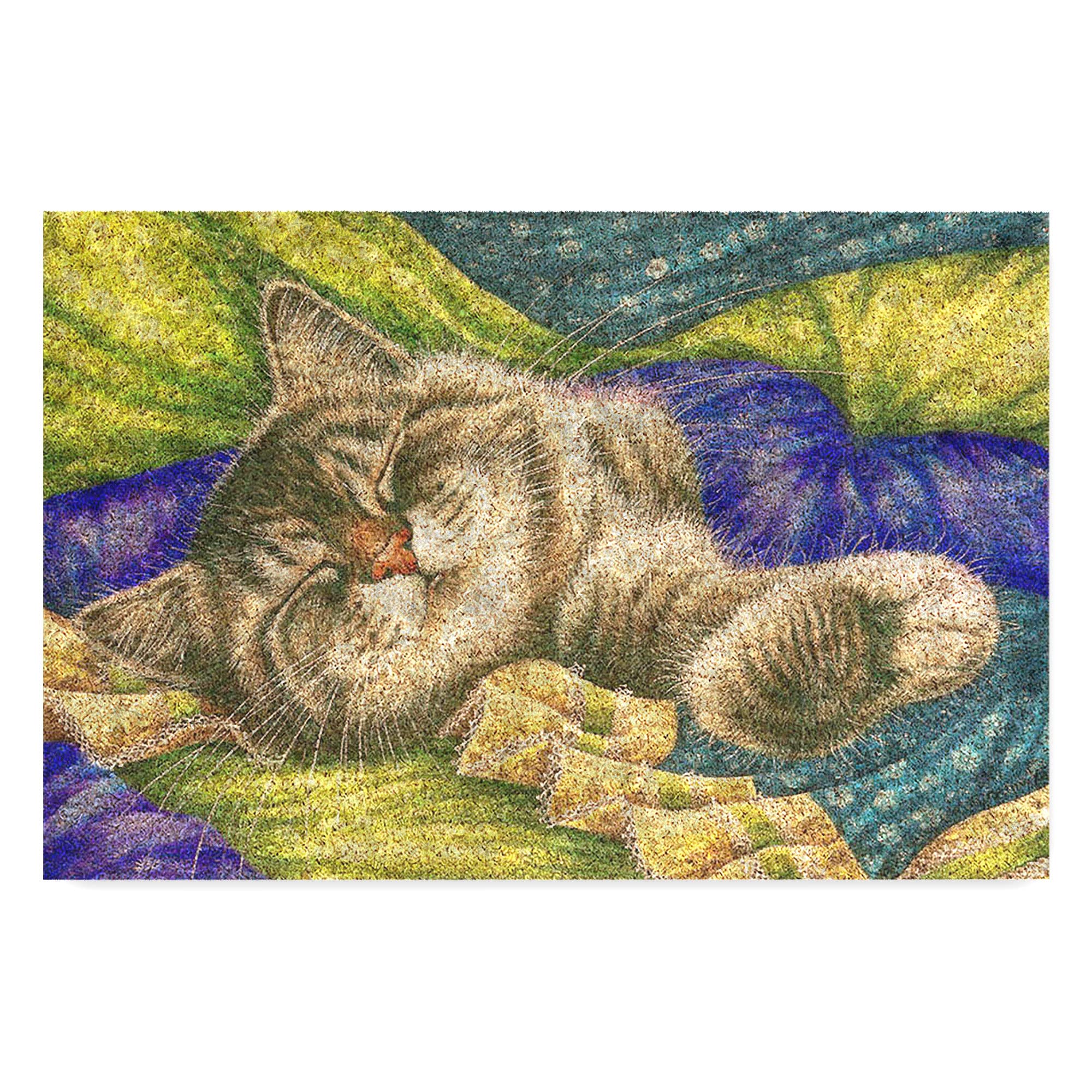 Monnhein Tasarımlı Dekoratif Kapı önü Paspas, Dış Mekan/Ev İçi/Banyo/Mutfak/Yatak Odası/Giriş Paspasları (Pastel Boyama Cat, 45X70)
