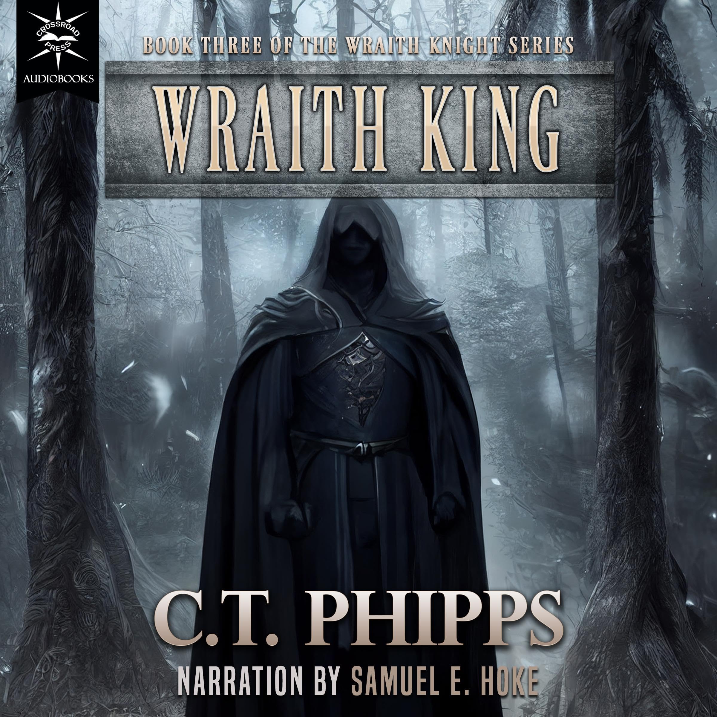 Cover art for Wraith King: Wraith Knight, Book 3
