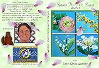 Vista 2 de Flores de primavera en azúcar (volumen II) con Scott Clark Woolley (formato DVD NTSC)