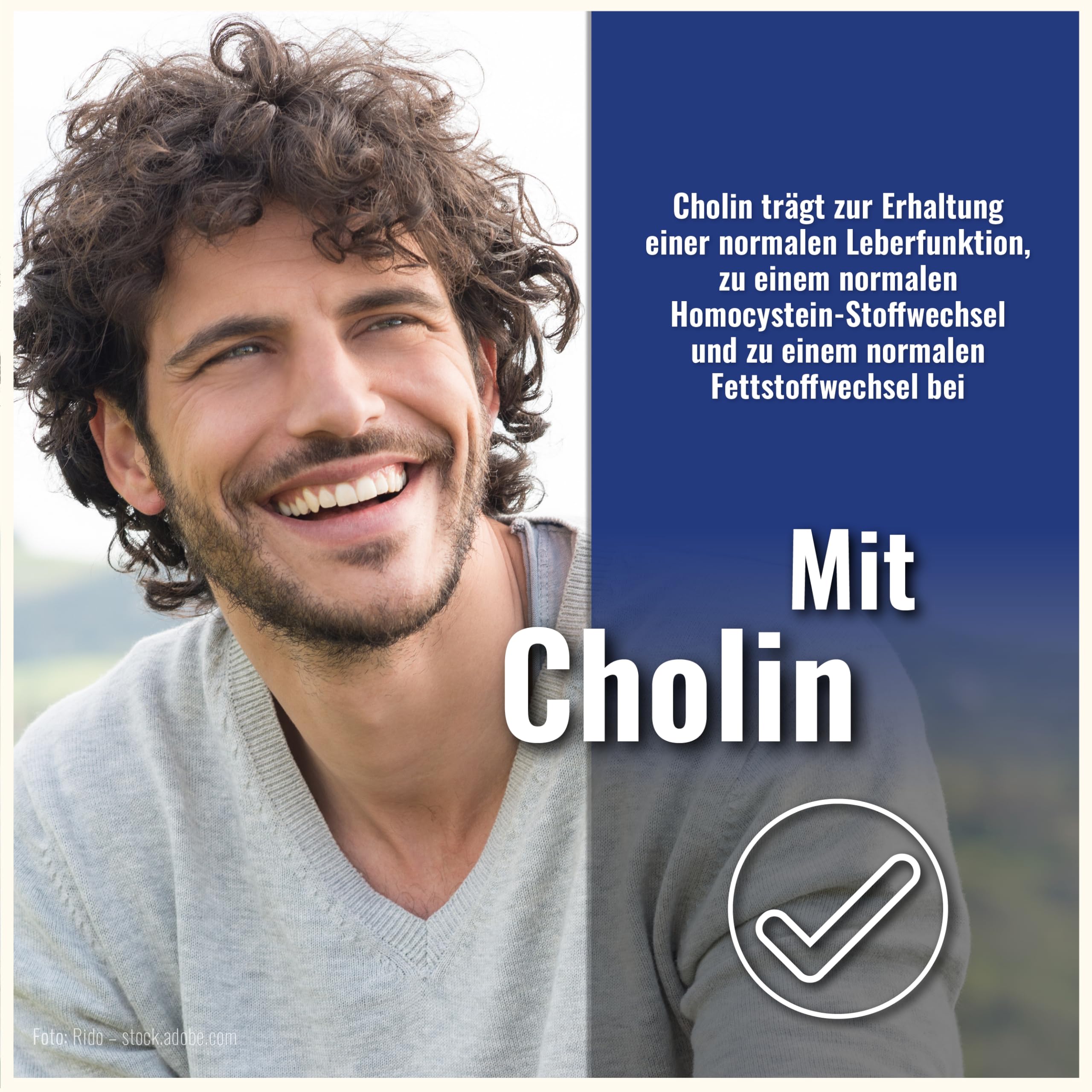 Leber Vital Mit Mariendistel Cholin Löwenzahn Und Artischocke - Hochdosiert mit 80% Silymarin