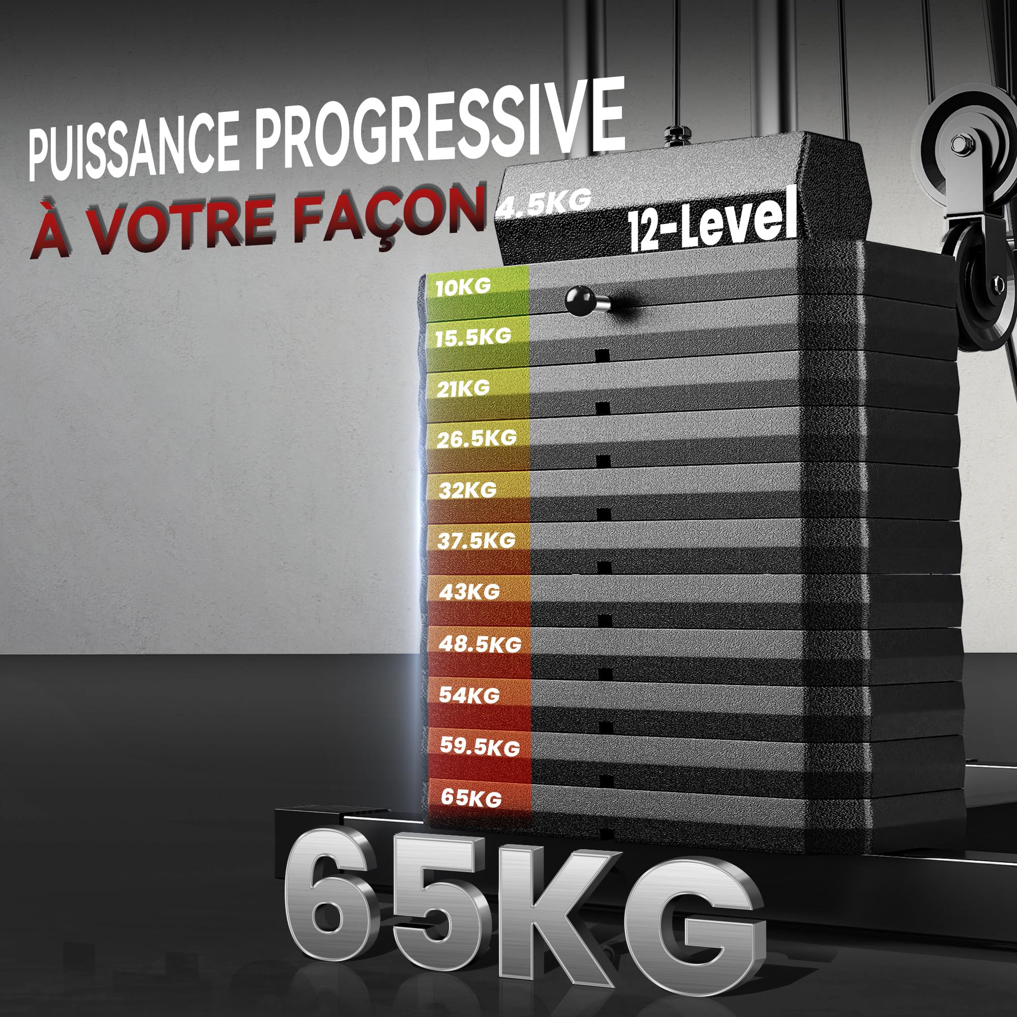 HOMCOM Station de Musculation Fitness - Collaboration Aosom.FR x FFHandball - avec 12 Blocs de Poids de 5,5 kg entraînement Complet - 135 x 103 x 210 cm
