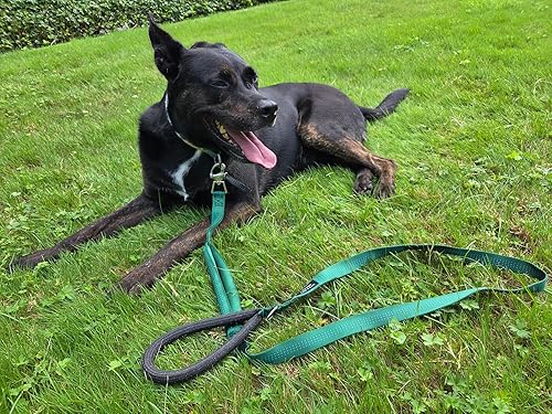 Miniatura 10 de Correa de perro resistente de 6 pies  Broche de liberación rápida, mango Dyneema, impermeable, 316 inoxidable, hecho a mano en Estados Unidos (negro)