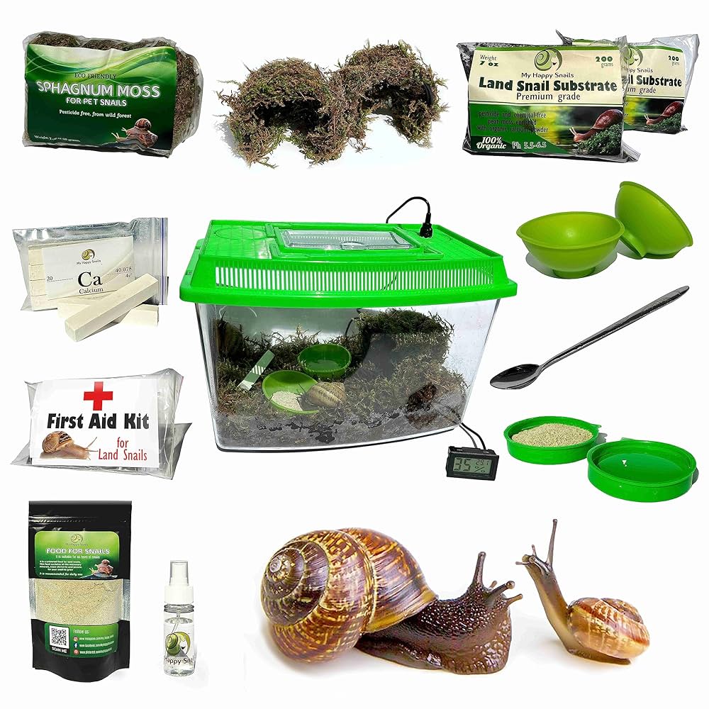 HELLOS ヘロス Snail Shelter（Charcoal Green） Land Snail Terrarium Kit + 50% Discount for Live Snails