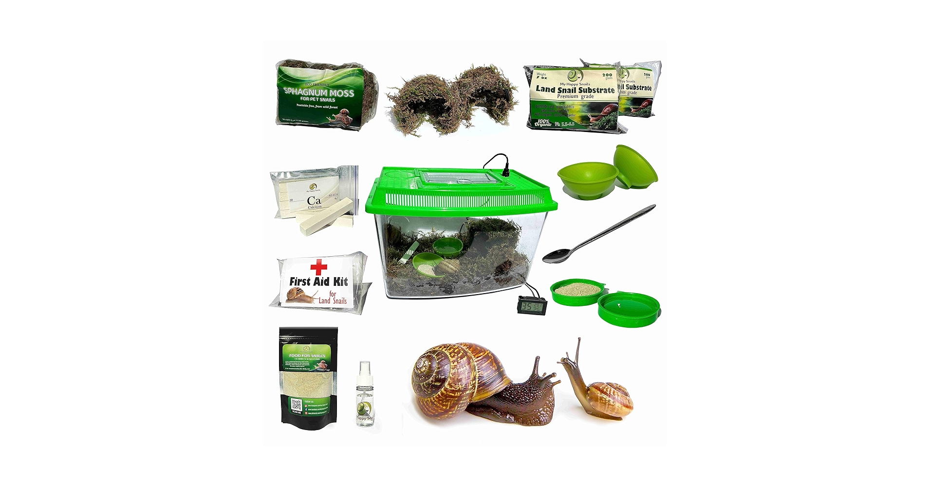 HELLOS ヘロス Snail Shelter（Charcoal Green） Amazon.com : Land Snail Terrarium Kit + 50% Discount for