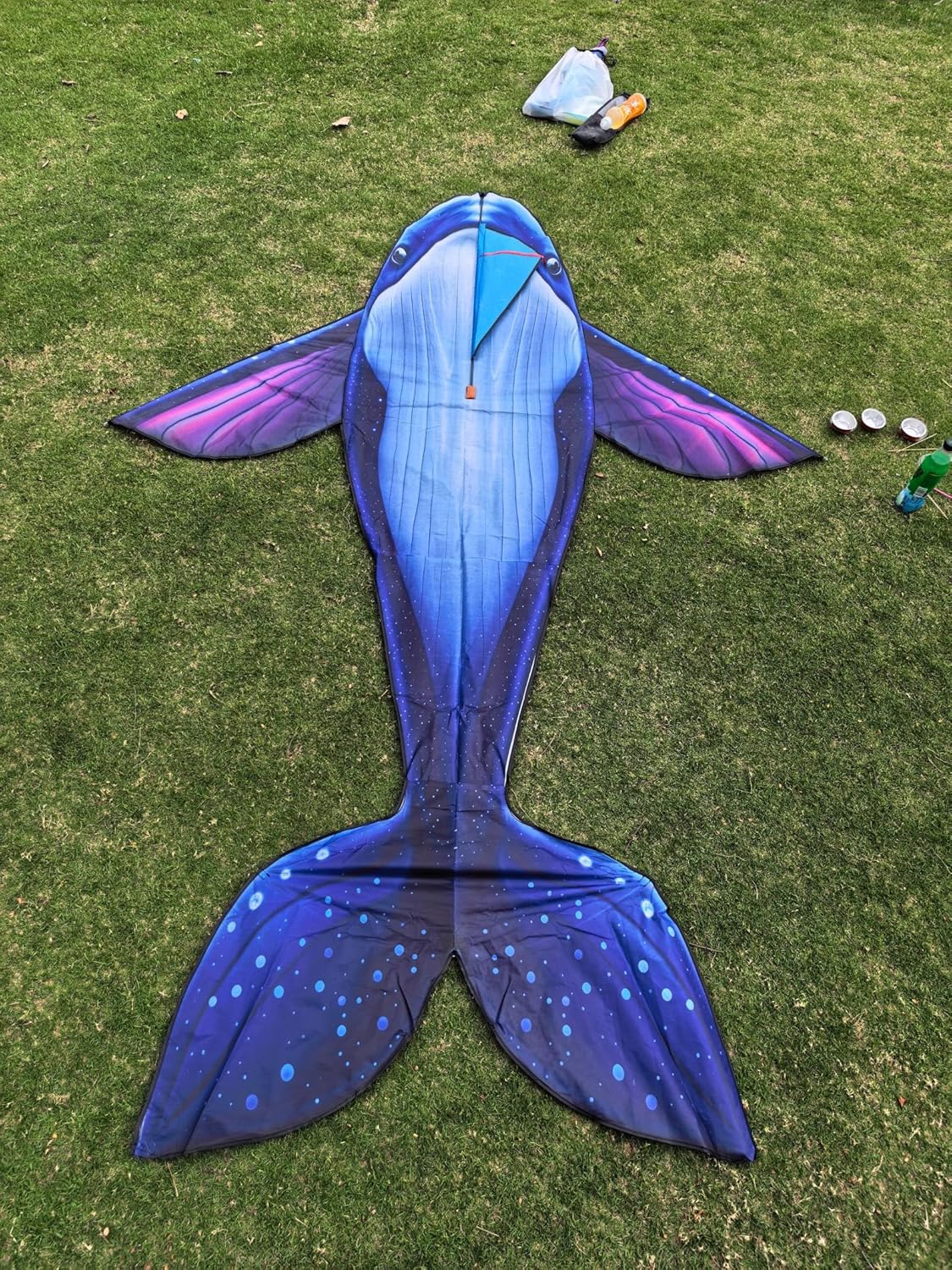 Giant Whale Kite for Adults and Kids, 9.51ft×6.40ft, Easy to Fly Large Beach Park Lawn Kites for Outdoor Games and Activities