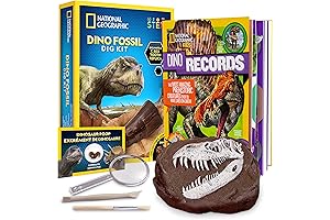 NATIONAL GEOGRAPHIC Dinosaur Books for Kids 5-7