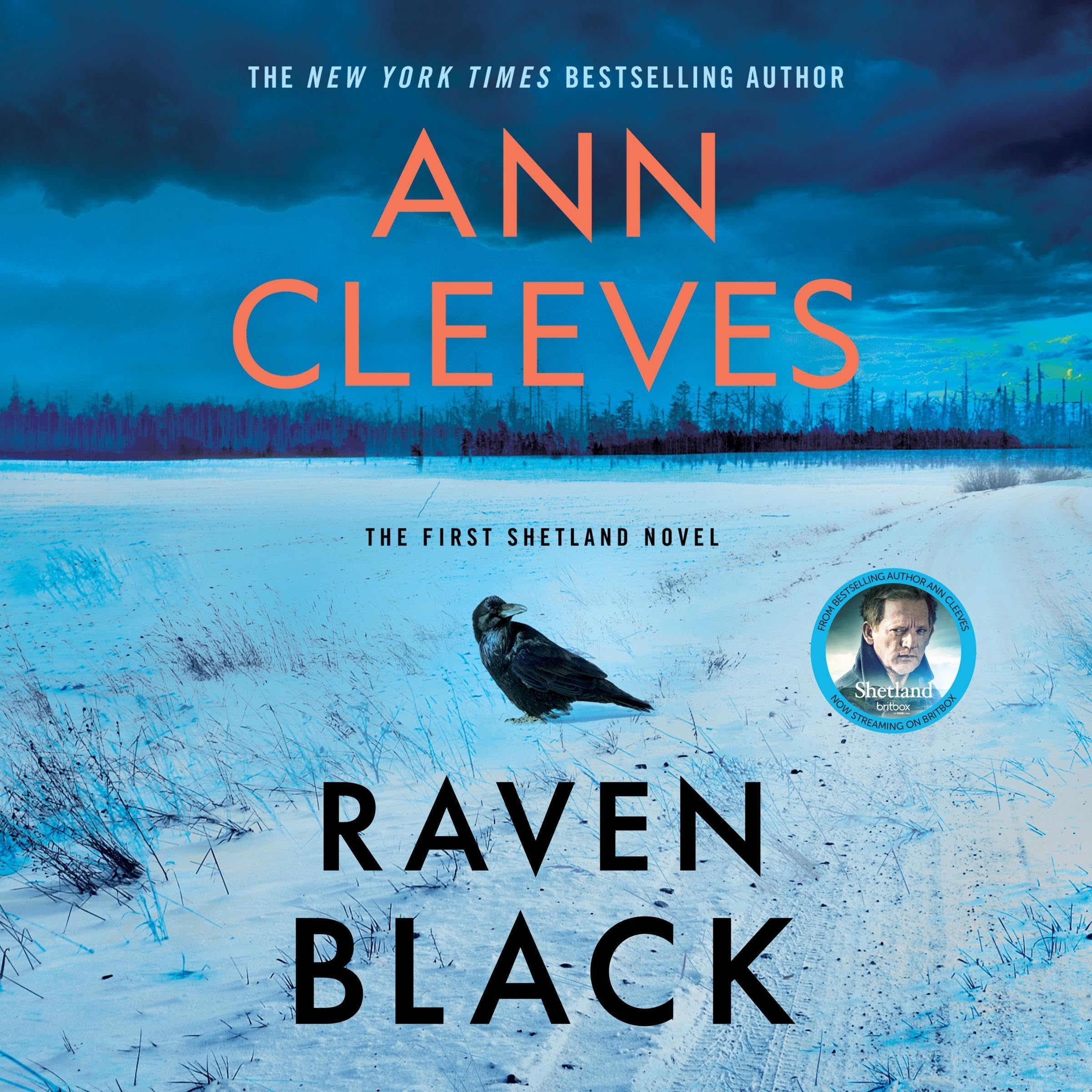 Cover art for Raven Black