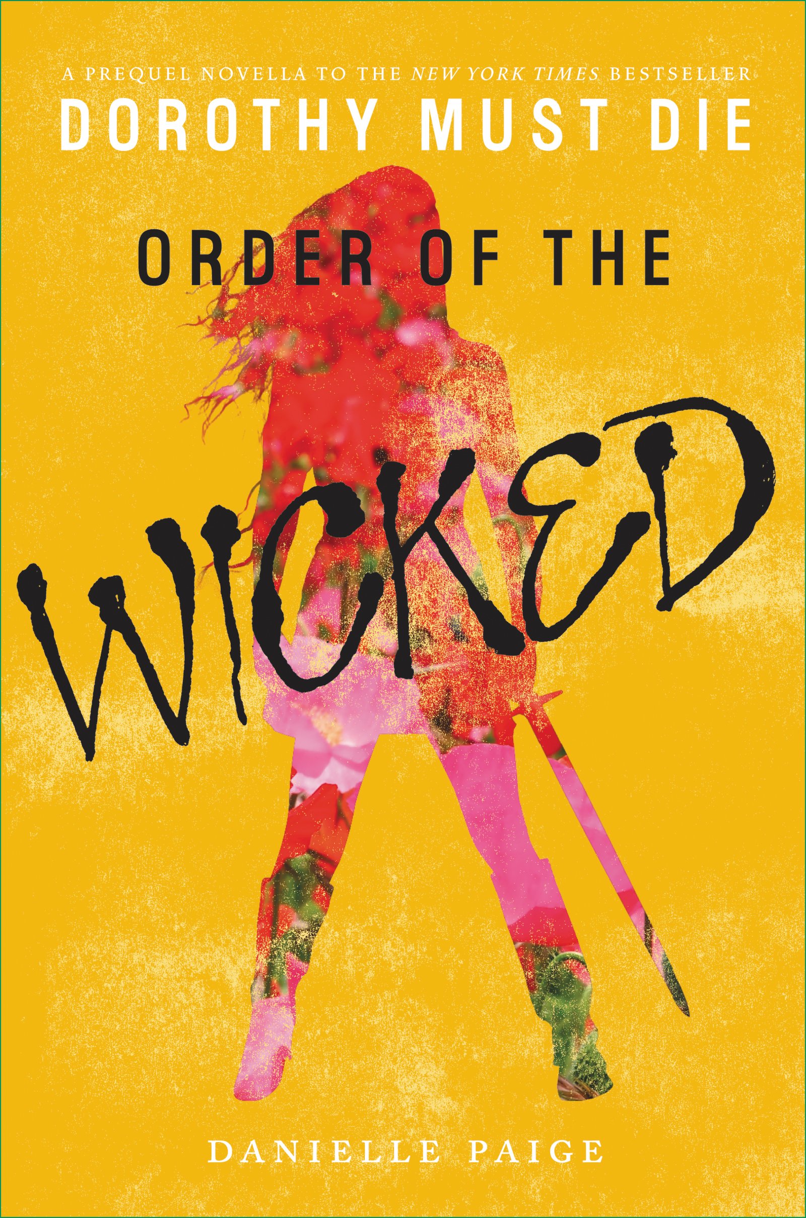 Order of the Wicked: A Dark Fantasy Reimagining Where Good is Wicked and Revenge is Everything (Dorothy Must Die Novella Book 7)