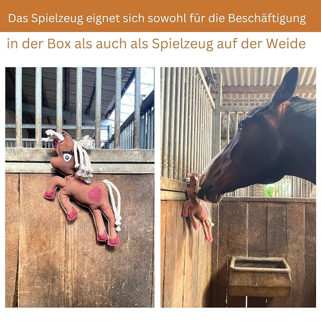 Foto 2 de 5 de Juguetes para caballos como entretenimiento, Box, Paddock, Weide Juguetes para caballos contra el aburrimiento