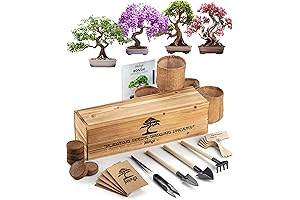 Bonsai Tree Seed Starter Kit: Cultivate Your Own Miniature Masterpieces