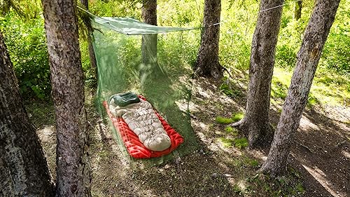 Vista 14 de Mosquitero Coghlan's Varios