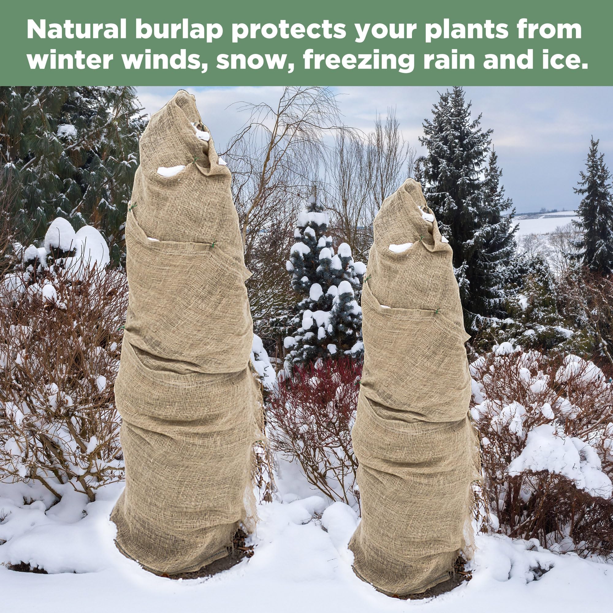 Amazon.co.jp: DECOHS 特大 50 フィート x 40 インチ 黄麻布布ロール