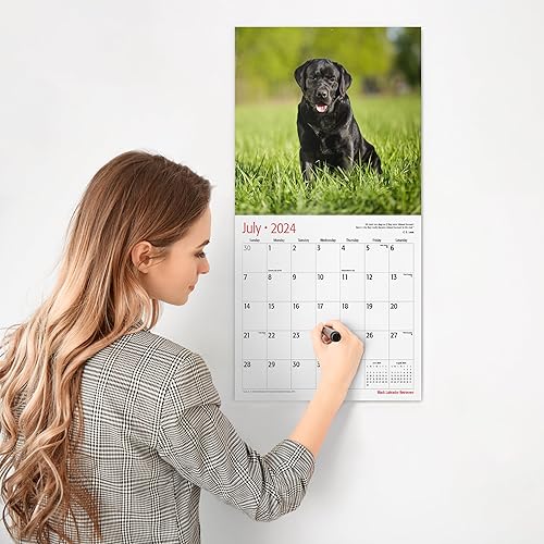Miniatura 4 de RED EMBER Black Labrador Retrievers 2024 - Calendario mensual de pared colgante  12 x 24 pulgadas abierto  Papel grueso y resistente  Regalo  Lindo