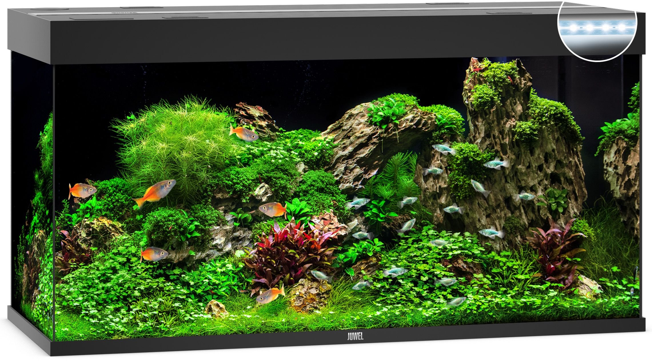 Juwel Acquario Rio 350 per Pesci Grandi con Tecnologia d'Illuminazione LED, Colore Nero