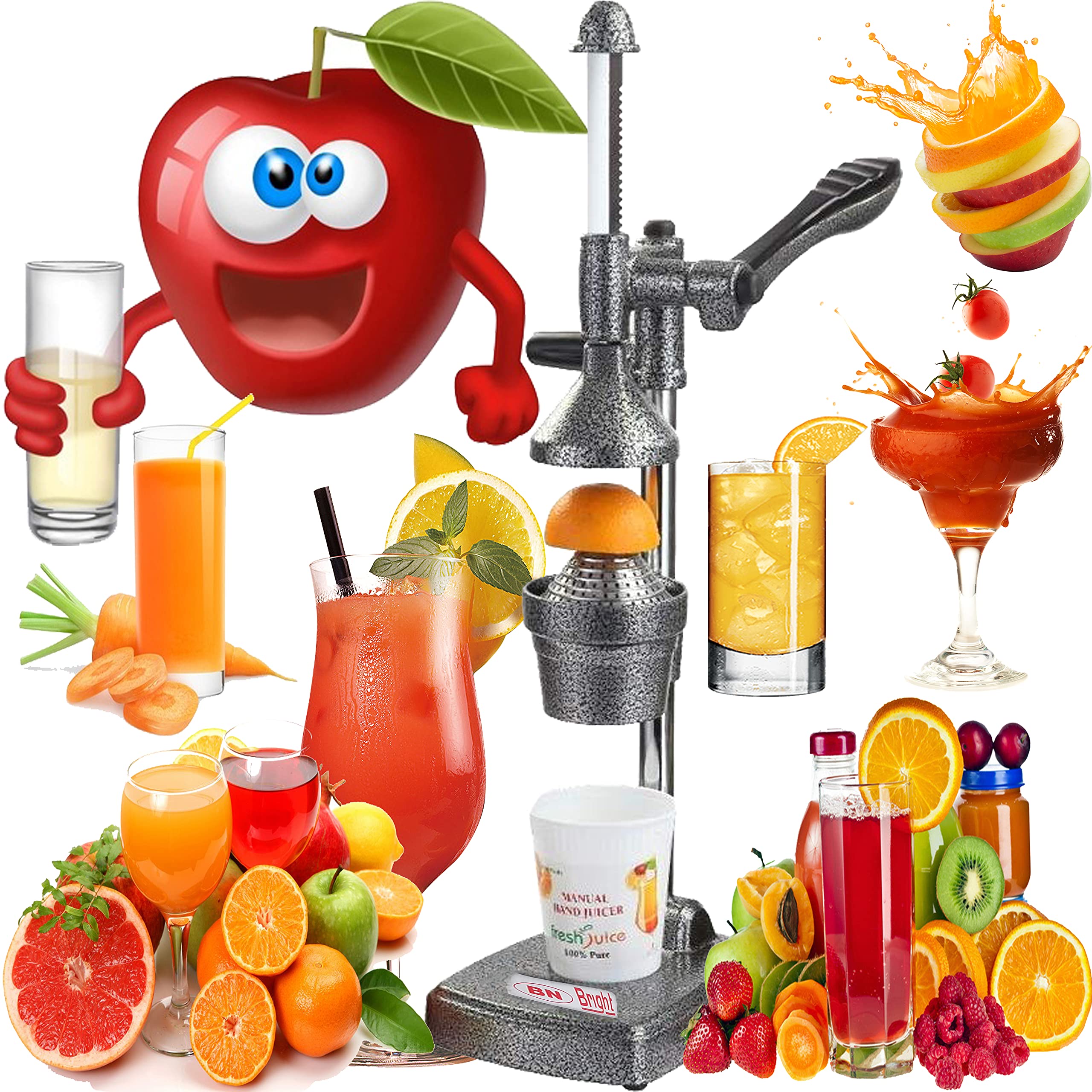 B.N.Brights Manual Aluminium Hand Press