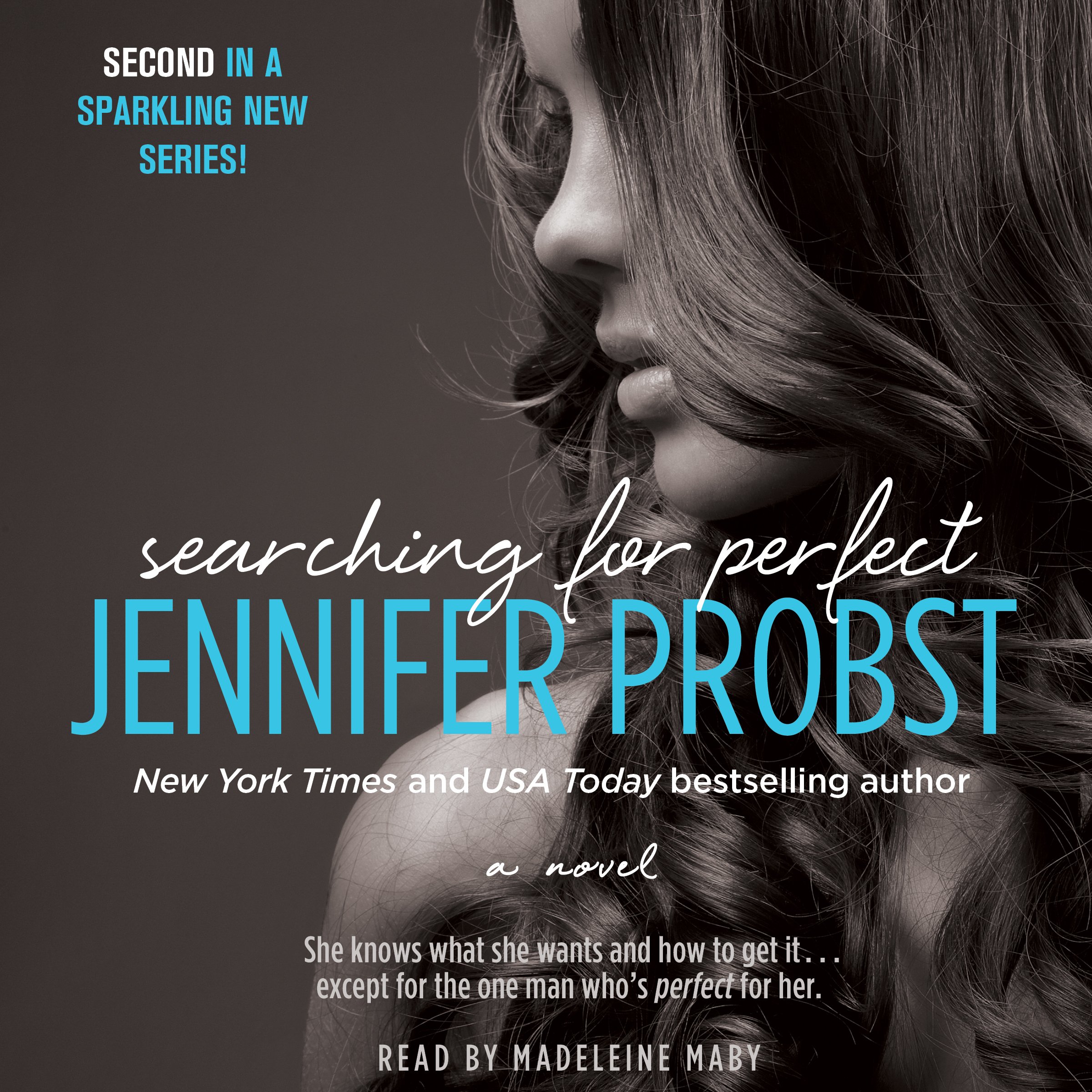 Cover art for Searching for Perfect