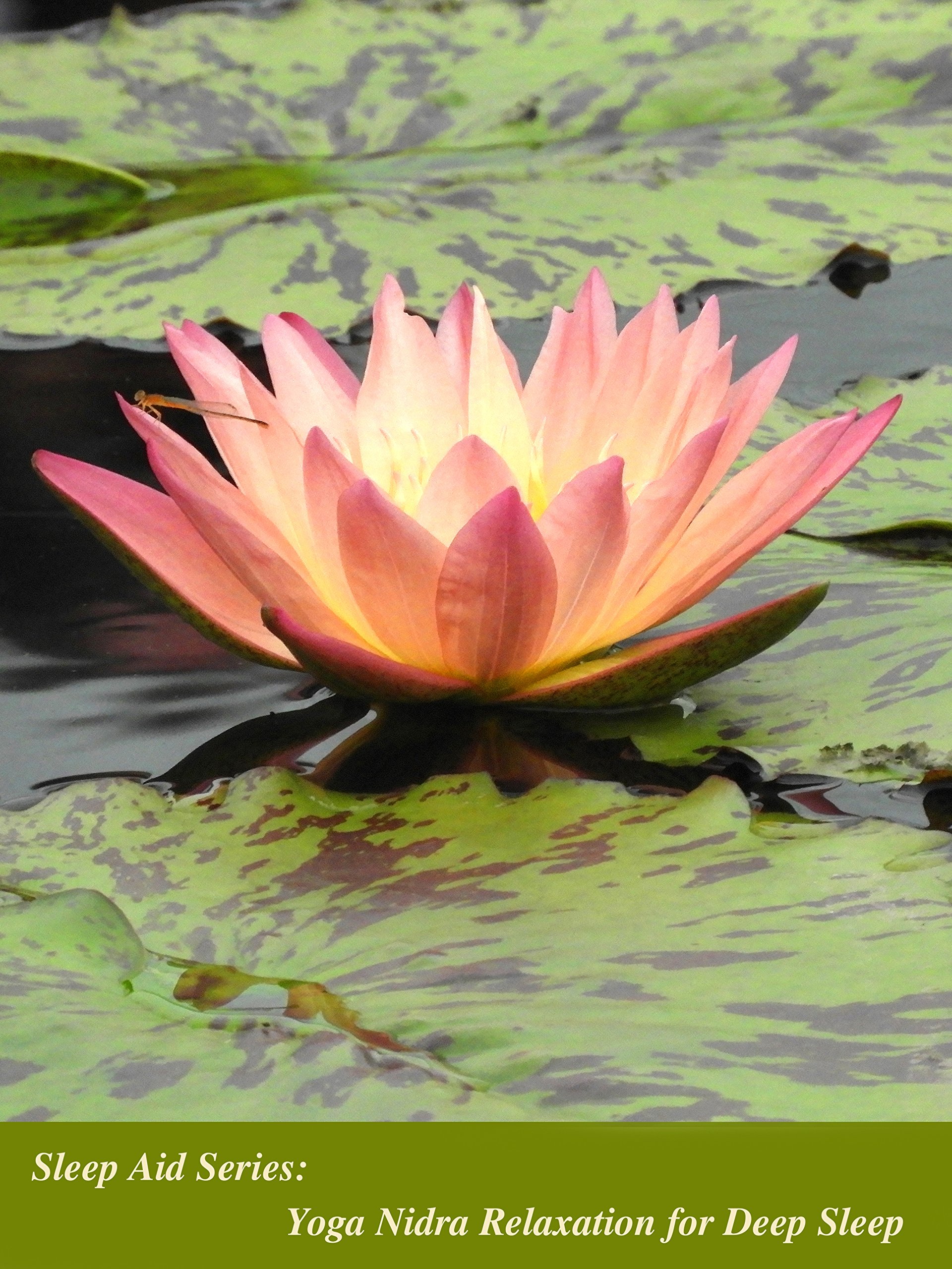 Relaxing Nature Sounds: Thunder and Rain