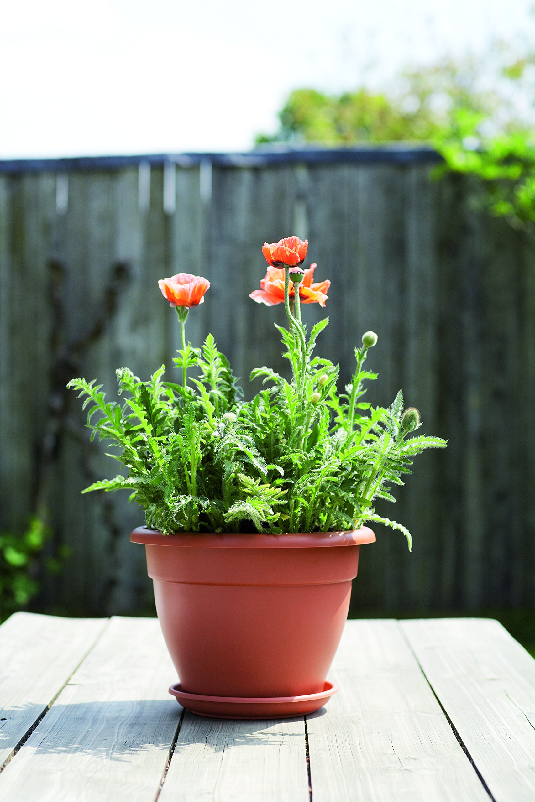 Tavolo rotondo a tulipano TULIP RH72 dal design iconico