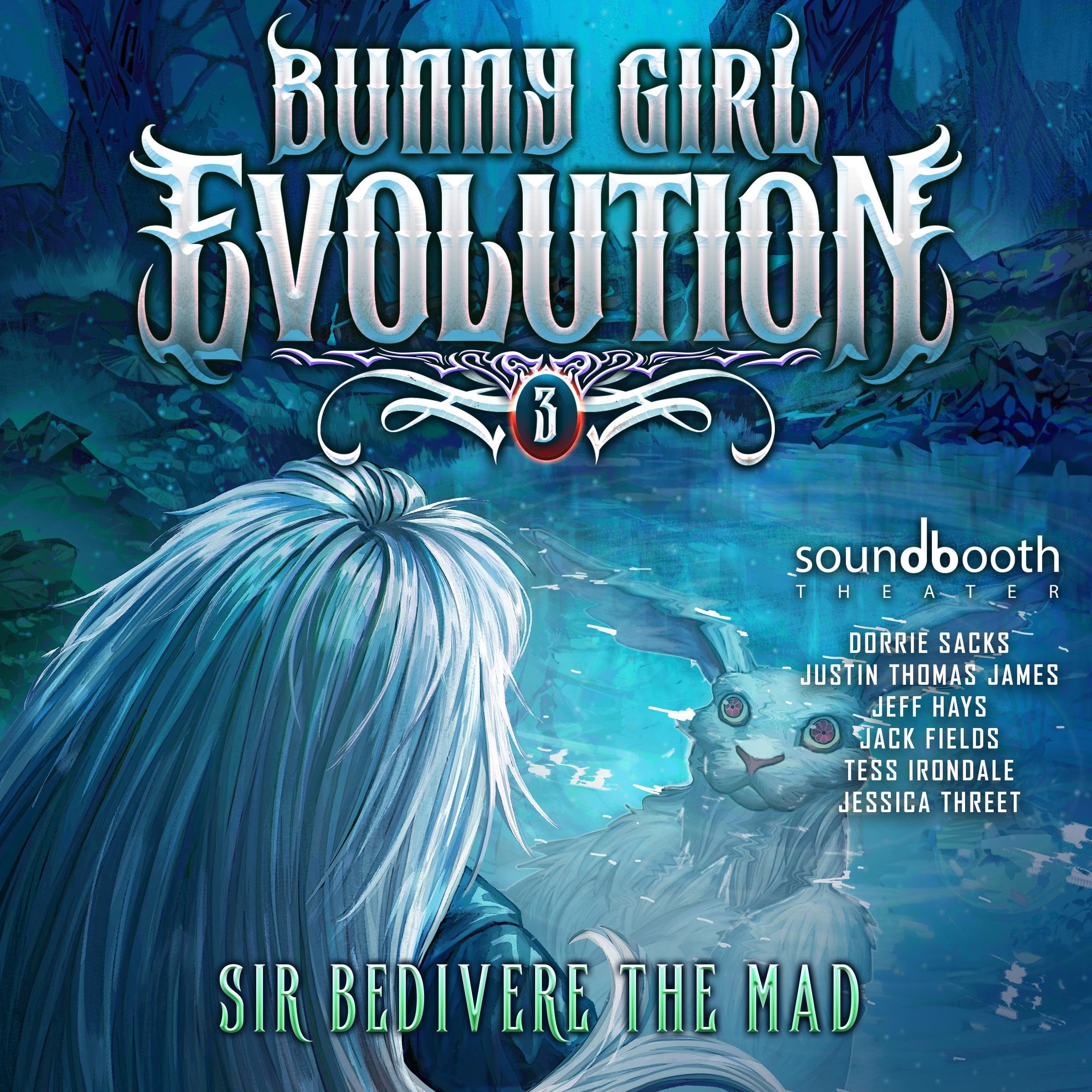 Cover art for Bunny Girl Evolution 3