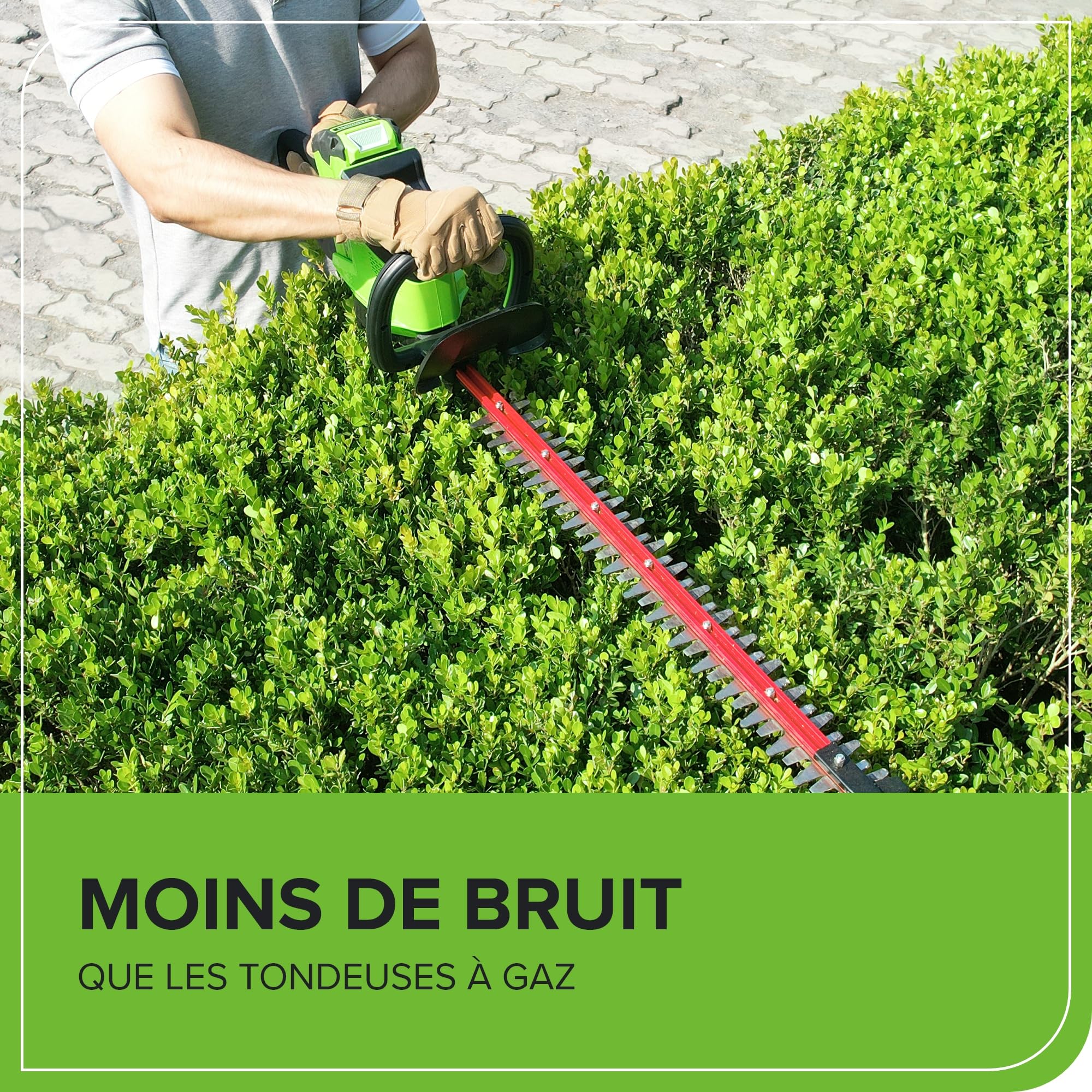 Greenworks Taille-haie sans Fil 66cm Lame à Double Action, Moteur Brushless Coupe jusqu'à 28 mm d'Épaisseur, 3400 SPM sans Batterie 40V et Chargeur GD40HT66