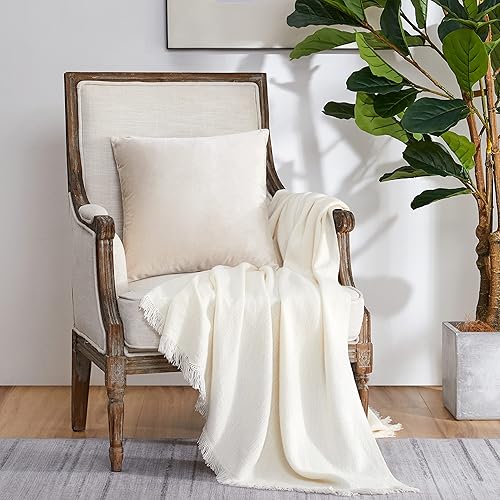 Vista 231 de GIGIZAZA - Juego de 2 fundas de almohada decorativas de 18 x 18 pulgadas, fundas de almohada cuadradas de terciopelo verde azulado pavo real