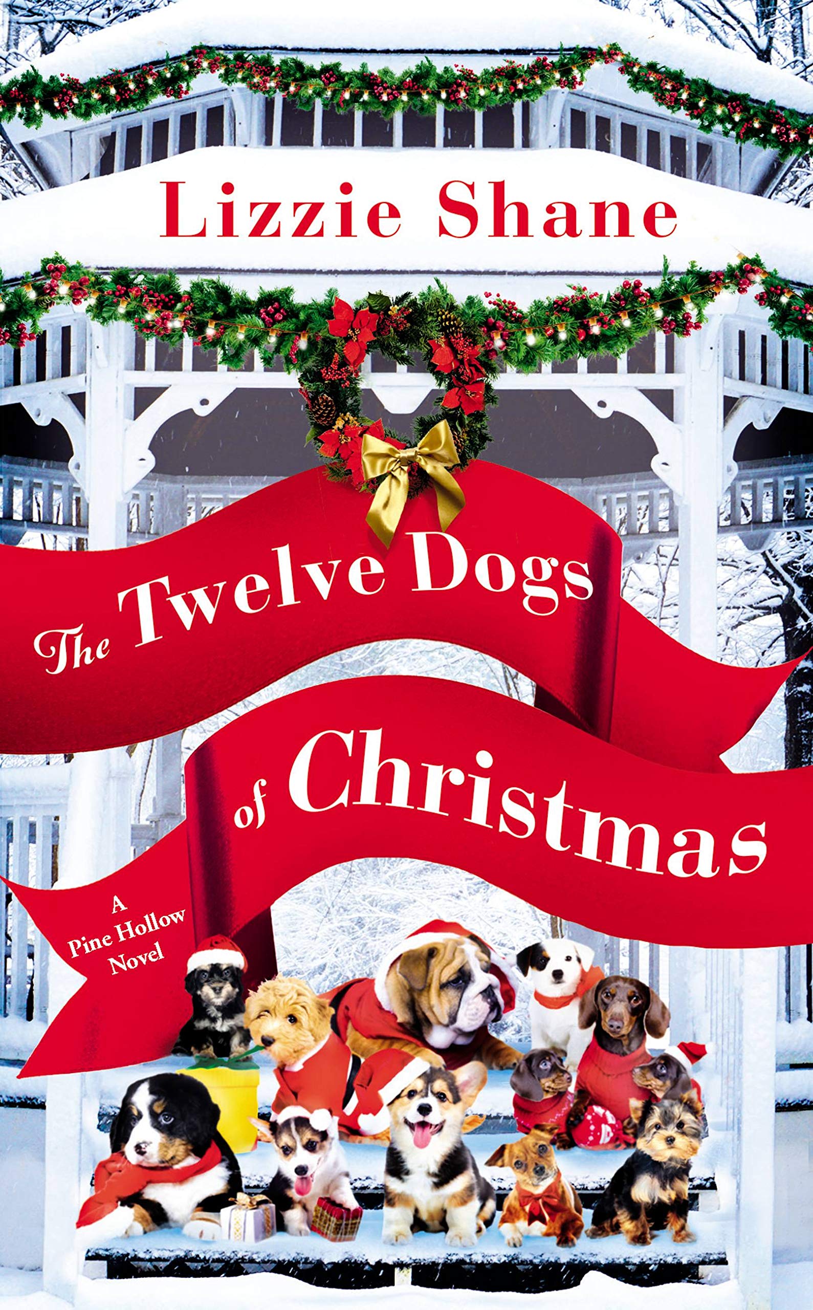 Buy The Twelve Dogs of Christmas — BookShops.in