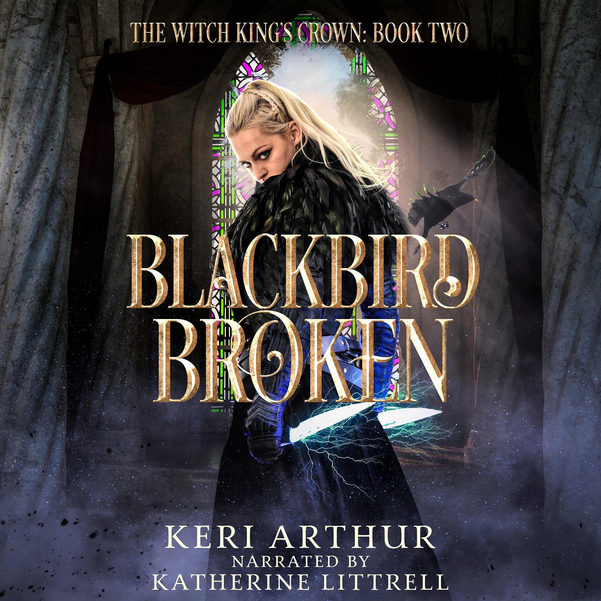 Cover art for Blackbird Broken