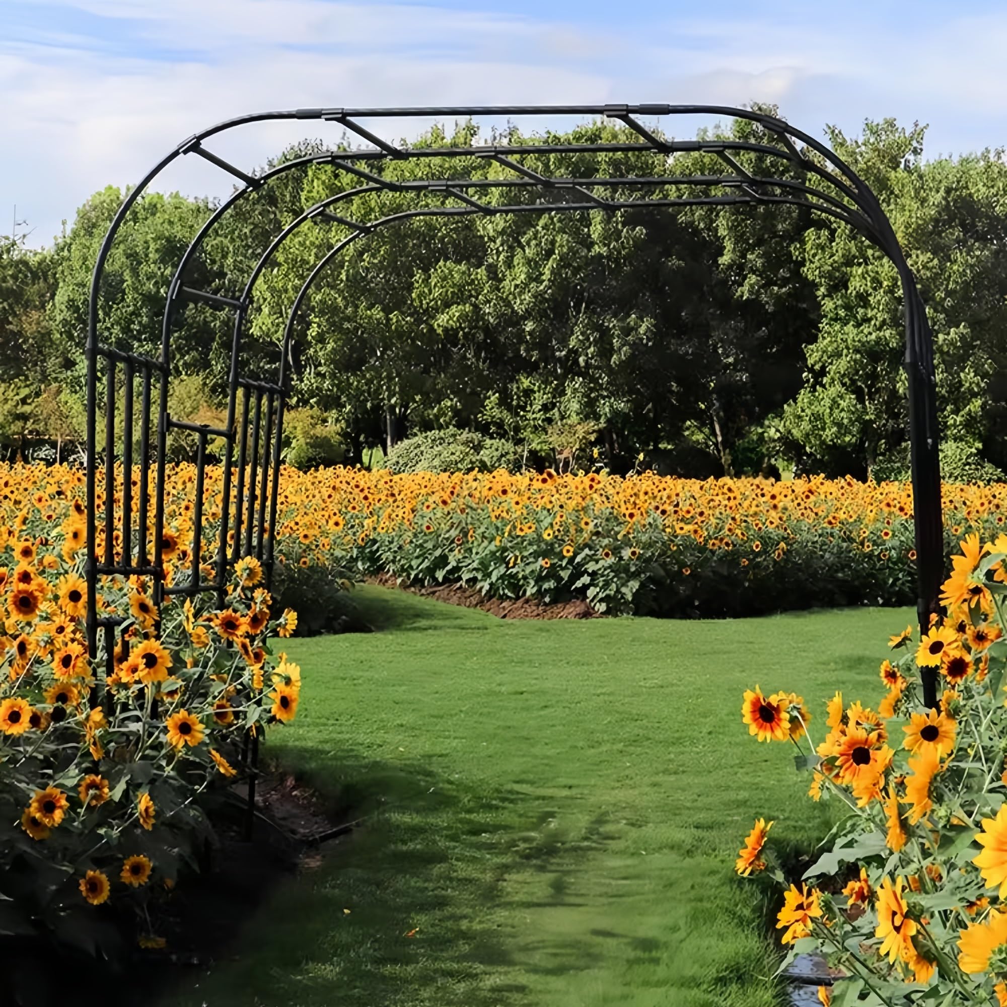 Arco de jardín resistente para guiar rosales y evitar la caída de tus plantas