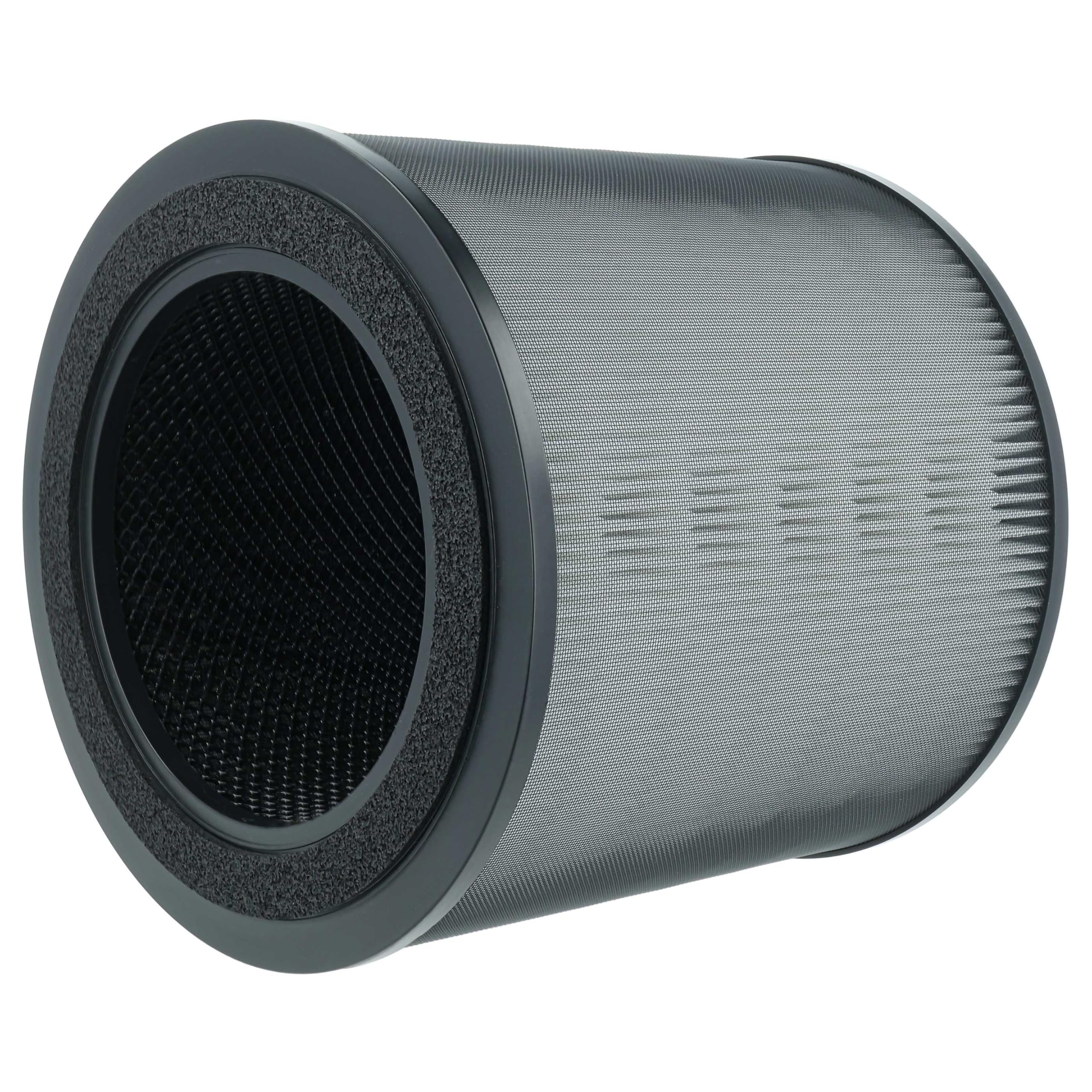vhbw Filtre H13 remplacement pour Philips FY0910/30, 688001002047