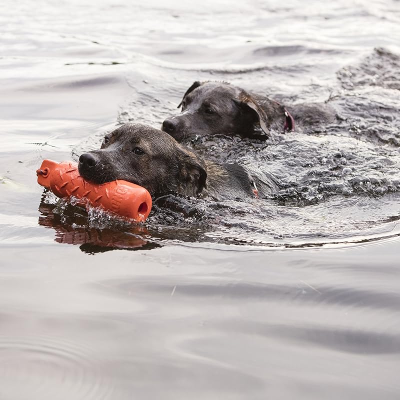 Dummy von KONG – von grubenhund empfohlenes Hundezubehör