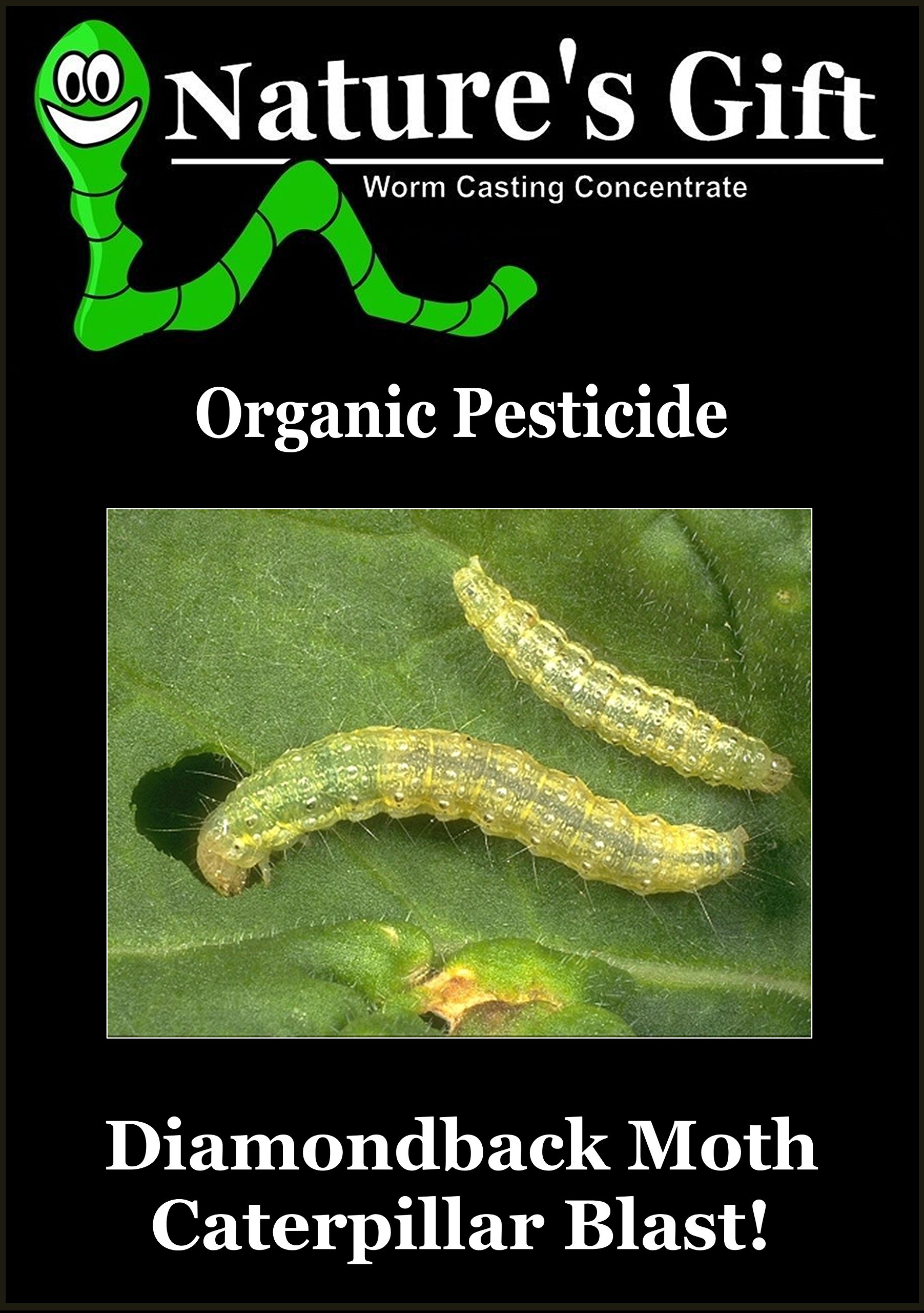 Buy ECoco Products UK DIAMONDBACK MOTH CATERPILLAR KILLER, PESTICIDE