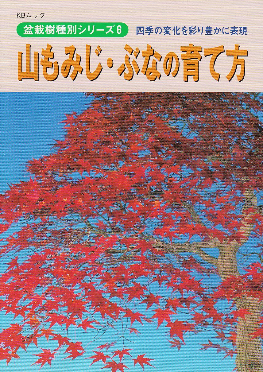 山もみじ ぶなの育て方 四季の変化を彩り豊かに表現 Kbムック 盆栽樹種別シリーズ 月刊 近代盆栽 編集部 本 通販 Amazon