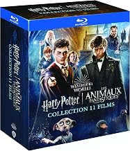 Wizarding World: Complete Harry Potter + Fantastic Beasts: 11 Movies [Blu-ray]