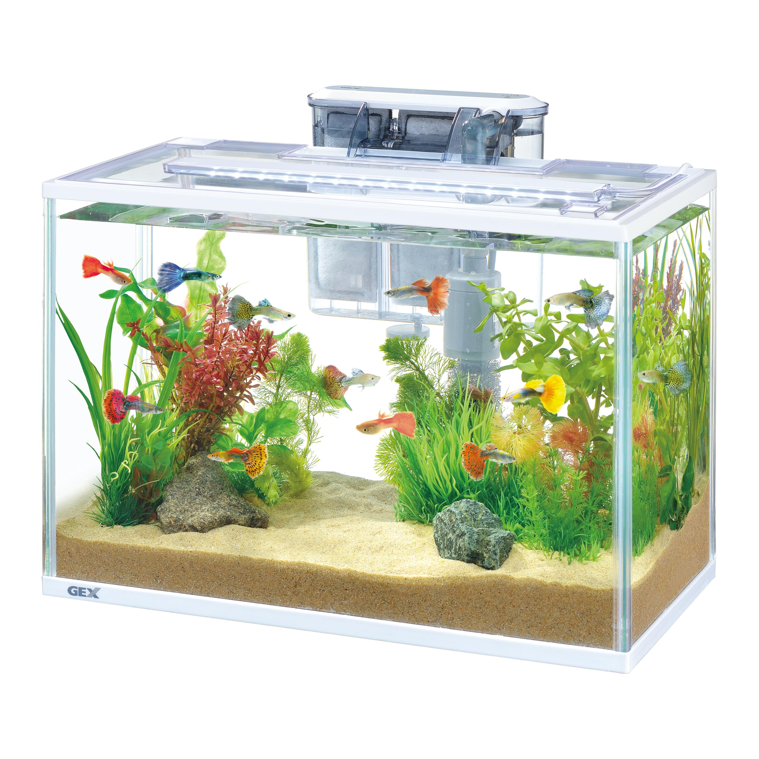 本日発送可能　GEX 水槽セット　水槽用フィルターセット LEDライト付き Amazon | ジェックス GEX ポリスチレン AQUARIUM サイレントフィット