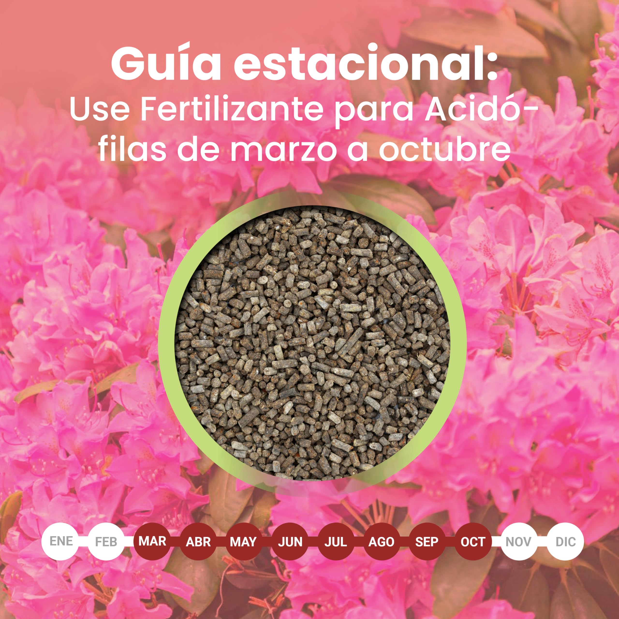 LERAVA Abono hortensias (2x800 g) - Abono acidófilas BIO para hortensias y rododendros - Mantiene suelo ácido I Crecimiento vigoroso y floración abundante - Ideal jardin