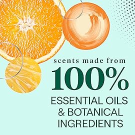 Seventh Generation Dish Liquid Soap Clementine Zest Lemongrass Dishwashing Soap Liquid Soap 19 oz