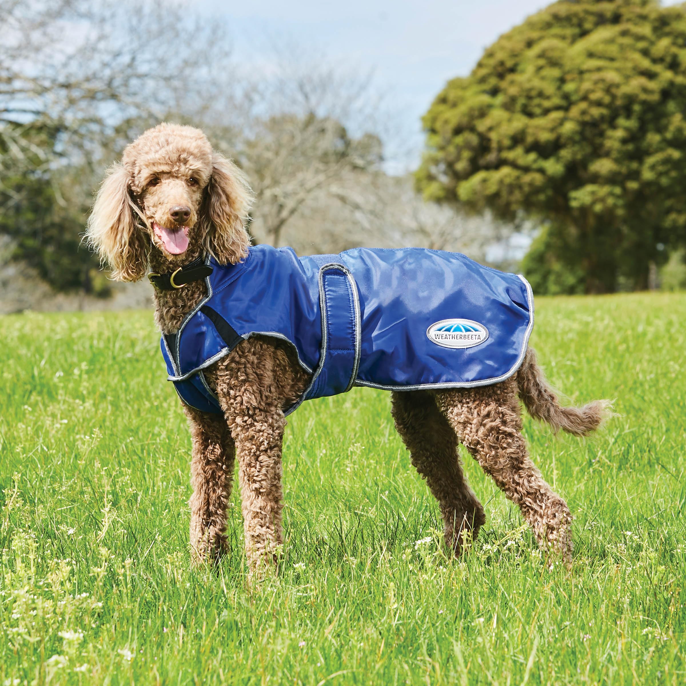 WeatherBeeta Hundemantel ComFiTec Windbreaker Free - 30 cm - Dunkelblau-Silber