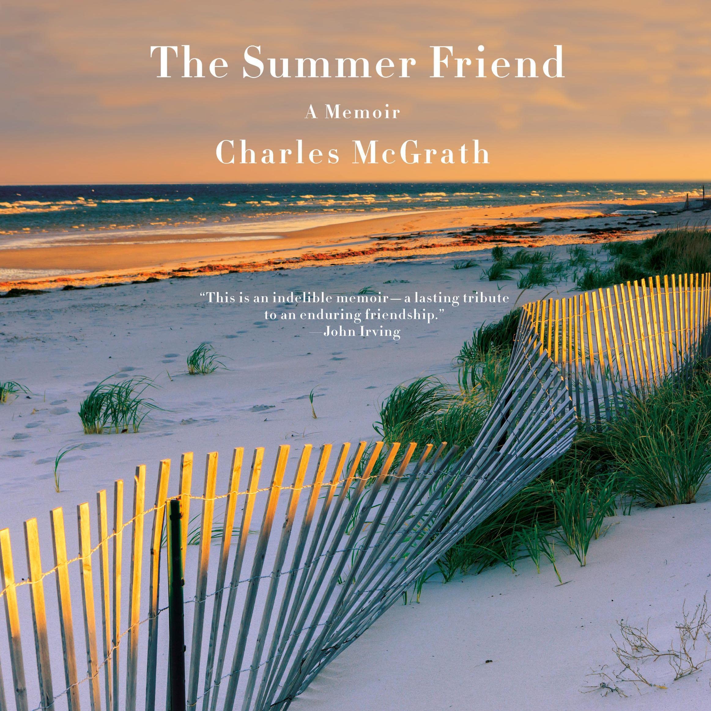 Cover art for The Summer Friend